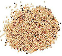 Glutenvrije zaden amaranth